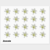 White Lily Ronde Sticker (Vel)