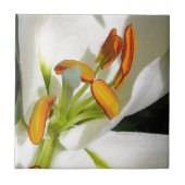 White Lily Tegeltje (Voorkant)