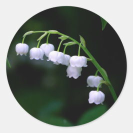  White Lily van de Valley Floral Foto Ronde Sticker