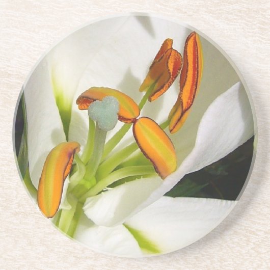 White Lily Zandsteen Onderzetter (Voorkant)
