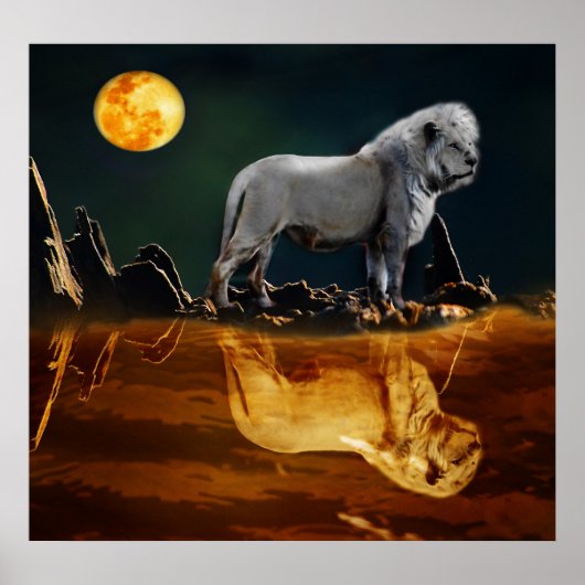 White Lion die de nacht bewaakt Poster (Voorkant)