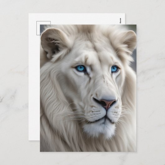 White Lion Feestdagenkaart (Voorkant / Achterkant)