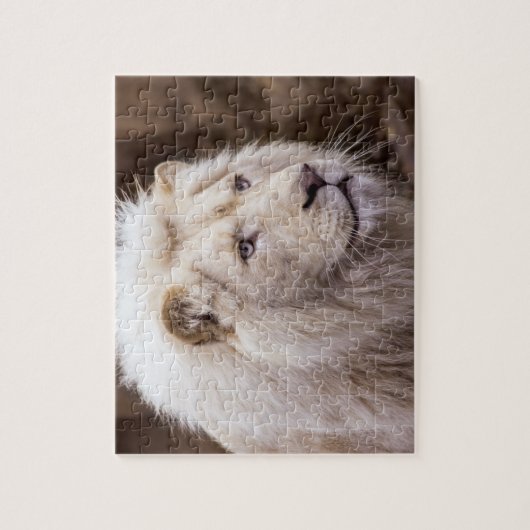 White Lion Foto Legpuzzel (Verticaal)