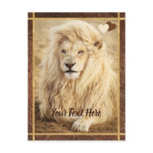 White Lion Photo Custom