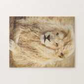 White Lion Photo Portret Legpuzzel (Horizontaal)