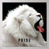 white lion Pride Poster (Voorkant)