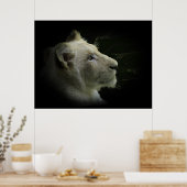 White Lion Wildlife Lion-Lover Poster (Keuken)