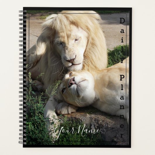 White Lions - Dagelijkse planner- HAMbWG Planner (Voorkant)