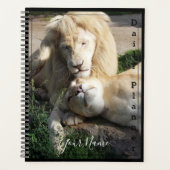 White Lions - Daily Planner - HAMbWG (Voorkant)