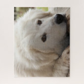 White Livestock Guardian Dog Jigzaag Puzzle Legpuzzel (Verticaal)