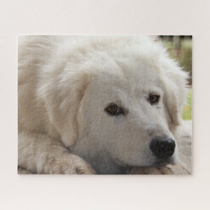 White Livestock Guardian Dog Jigzaag Puzzle Legpuzzel
