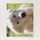 White Livestock Guardian Dog Maremma Legpuzzel (Verticaal)