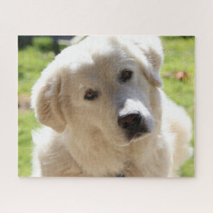 White Livestock Guardian Dog Maremma Legpuzzel