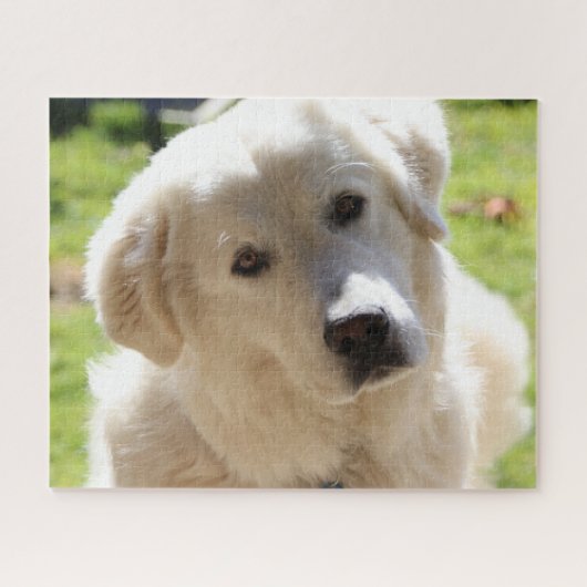 White Livestock Guardian Dog Maremma Legpuzzel (Horizontaal)