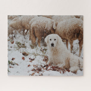 White Livestock Guardian Dog met Sheep Legpuzzel