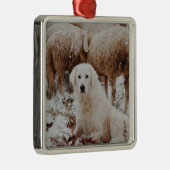 White Livestock Guardian Dog met Sheep Metalen Ornament (Rechts)
