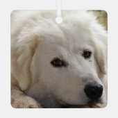 White Livestock Guardian Dog Metalen Ornament (Achterkant)