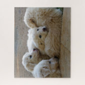 White Livestock Guardian Dog Puppies Legpuzzel (Verticaal)