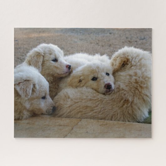 White Livestock Guardian Dog Puppies Legpuzzel (Horizontaal)