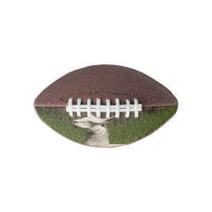 White Llama American Football