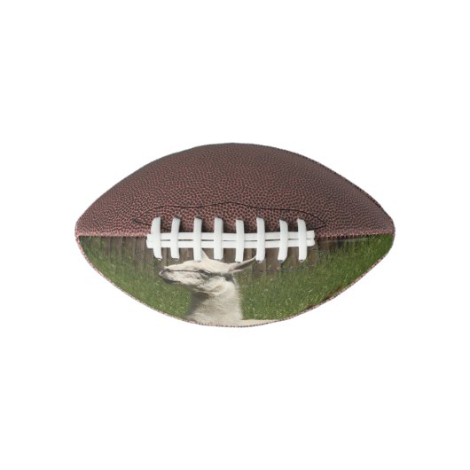 White Llama American Football (Voorkant)