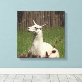 White Llama Canvas Afdruk (Insitu (Houten vloer))