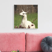White Llama Canvas Afdruk (Insitu (Woonkamer))