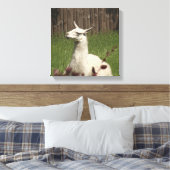White Llama Canvas Afdruk (Insitu (Slaapkamer))