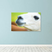 White Llama Canvas Afdruk (Insitu (Houten vloer))