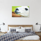 White Llama Canvas Afdruk (Insitu (Slaapkamer))