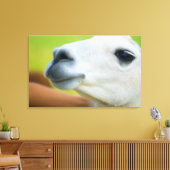 White Llama Canvas Afdruk (Insitu (Woonkamer))