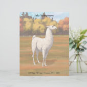 White Llama in Autumn Boerderij Pasture Briefhoofd (Staand voorkant)