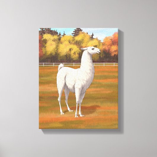 White Llama in Autumn Boerderij Pasture Canvas Afdruk (Voorkant)