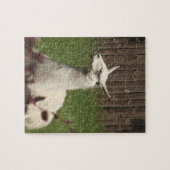 White Llama Legpuzzel (Horizontaal)