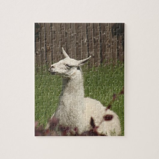 White Llama Legpuzzel (Verticaal)