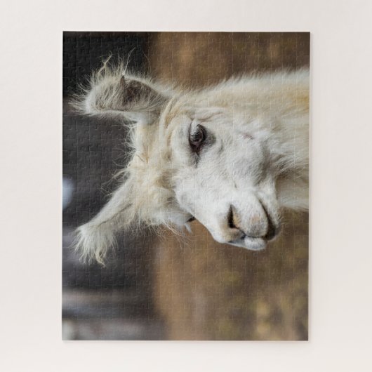 White Llama Portrait, Jigzaag Puzzle Legpuzzel (Verticaal)