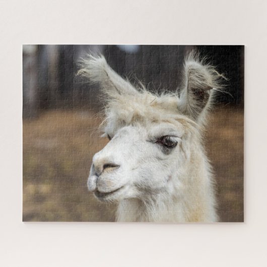 White Llama Portrait, Jigzaag Puzzle Legpuzzel (Horizontaal)