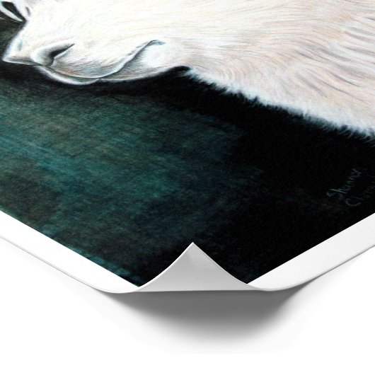 White Llama Poster (Hoek)