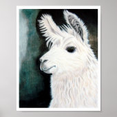 White Llama Poster (Voorkant)