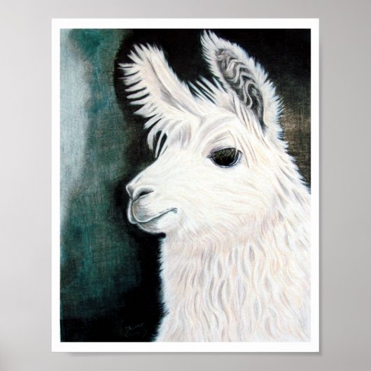 White Llama Poster (Voorkant)