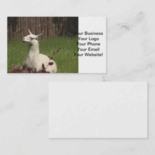 White Llama Visitekaartje (Voorkant / Achterkant)