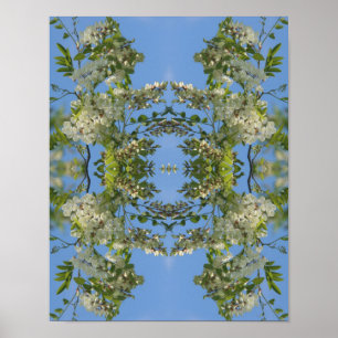 White Locust Flower Abstract Poster