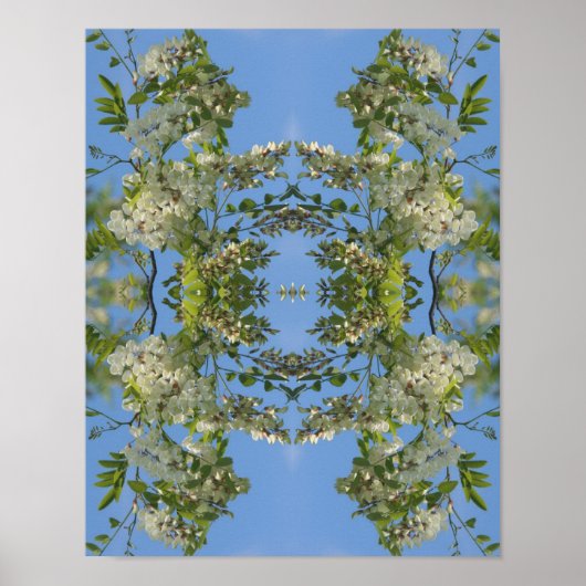 White Locust Flower Abstract Poster (Voorkant)