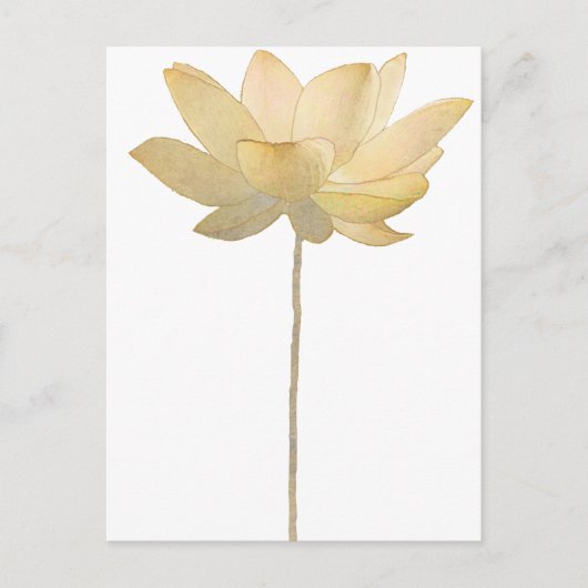 White Lotus Briefkaart (Voorkant)