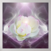 White lotus flower in crystal poster (Voorkant)
