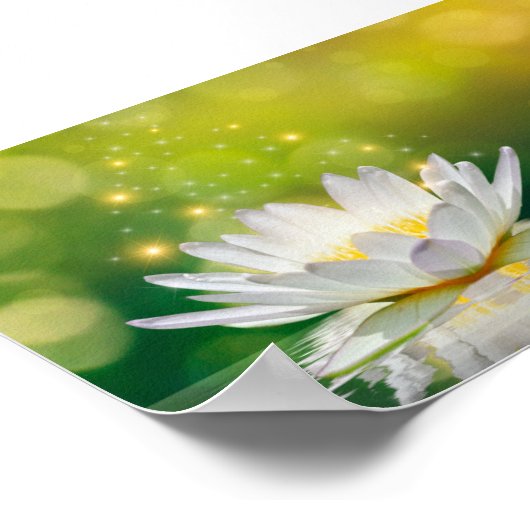 White Lotus Flower Landscape, Zen Poster (Hoek)