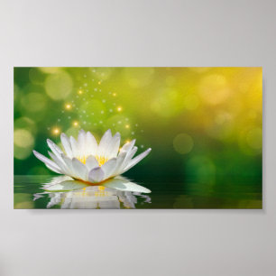 White Lotus Flower Landscape, Zen Poster
