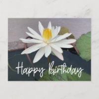 White Lotus in de vijver Happy Birthday