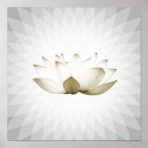 White Lotus Massage Therapy Yoga Training Poster
