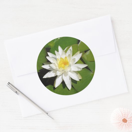 White Lotus Sticker (Envelop)